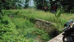 Dinas PUPR Terkesan Tutup Mata, Kades Setempat Minta Irigasi Sodong Cidurian Segera Dinormalisasi
