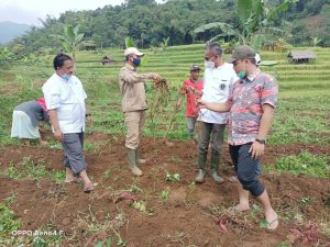 Pemdes Kiarasari Terpilih Sebagai Desa Digital di Sektor Pertanian