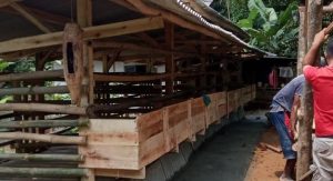 Peternakan Kambing Jadi Primadona Desa Cikopomayak