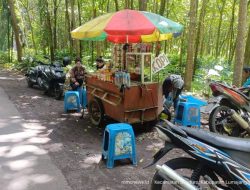 Hutan Jati Sarikemuning: Tempat Istirahat Nyaman dan Santai Sambil Ngopi