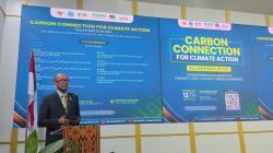 PLN Gandeng Mitra Norwegia dan Jepang untuk Dorong Pasar Karbon Lintas Negara yang Berintegritas Tinggi di COP30