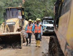 PLN Tuntaskan Pemulihan Kelistrikan Sumut 100 Persen! Sumut Kembali Menyala