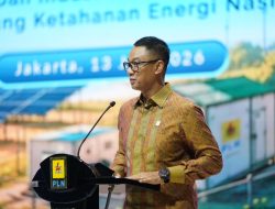 Menyambut HUT ke-81 RI, PLN Perkuat Kolaborasi untuk Percepat Program Listrik Desa di Seluruh Indonesia