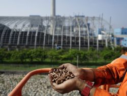 Ajang PLN Journalist Awards 2025 Dibuka, Apresiasi untuk Pewarta Penggerak Literasi Energi Nasional