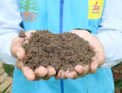 Hari Pahlawan, PLN Sambut Positif Langkah BSN Tetapkan SNI FABA untuk Dukung Pertanian Produktif dan Berkelanjutan