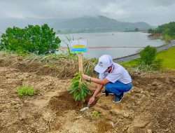 PLN Icon Plus dan PLN Grup Jawa Timur Tanam 10.000 Bibit Pohon di Bendungan Selorejo Peringati Hari Menanam Pohon Indonesia 2025