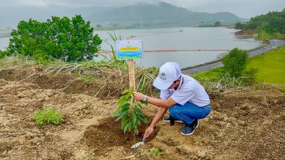 PLN Icon Plus dan PLN Grup Jawa Timur Tanam 10.000 Bibit Pohon di Bendungan Selorejo Peringati Hari Menanam Pohon Indonesia 2025
