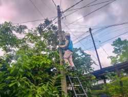 Perkuat Infrastruktur Digital, PLN Icon Plus Lakukan Penertiban Kabel dan Aset Kelistrikan di Kabupaten Gresik