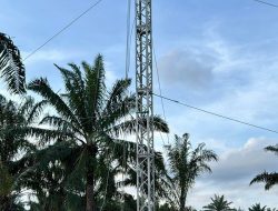 PLN Terus Kebut Siang Malam Perbaiki Jalur Listrik Langsa-Pangkalan Brandan, Penopang Pemulihan Kelistrikan Aceh