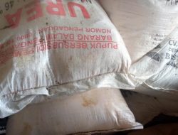 Selain Dijual diatas HET, Pupuk Bersubsidi di Dander di duga Dijual Keluar Desa