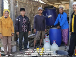 Kades karang gayam memantau pembuatan POC ruminsapi