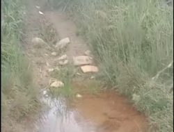 Warga Desa Tunggul Bute Harapkan  Jalan Usaha Tani (JUT) Di Bangun.