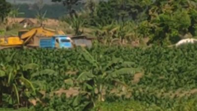 Bisnis Musiman Dengan Modus Pemerataan Lahan Kian Menjamur di Wilayah Sugihwaras