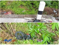 Kecelakaan Mengerikan di Jalan Nasional Probolinggo, Dua Pengendara Motor Terjun ke Jurang